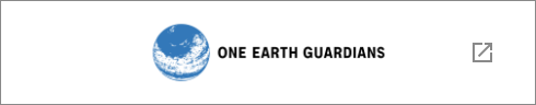 東京大学One Earth Guardians(OEGs)育成プログラム