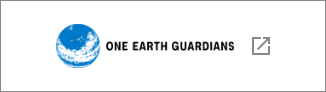東京大学One Earth Guardians(OEGs)育成プログラム